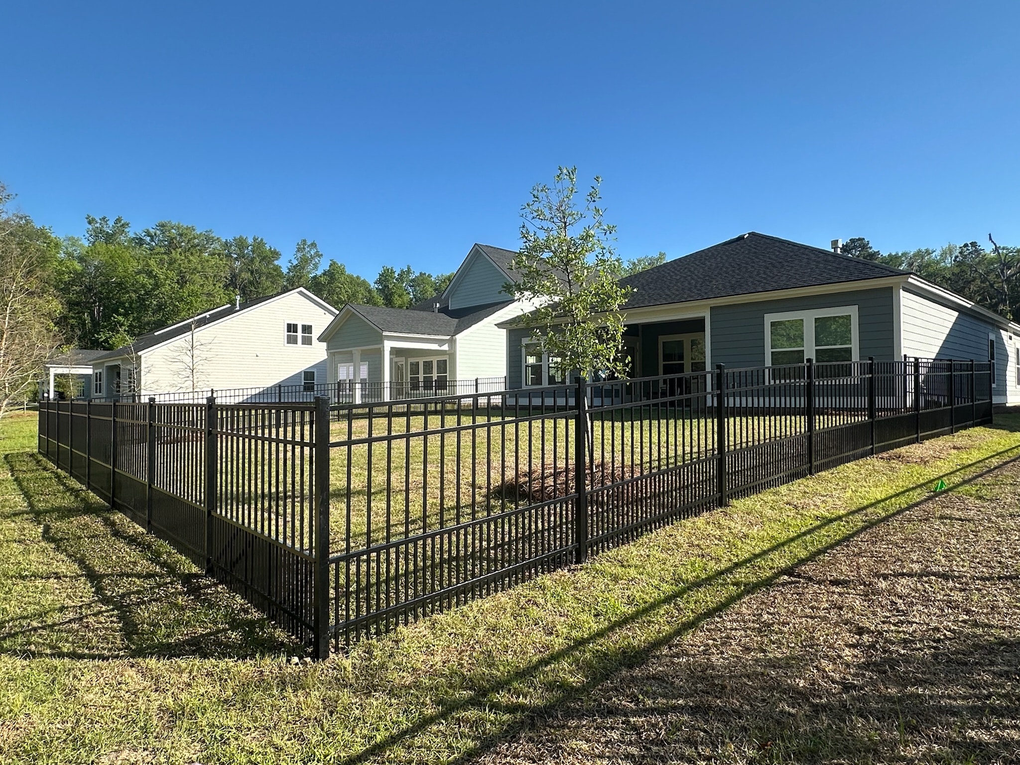 Black ornamental iron fence surrounding residential yard