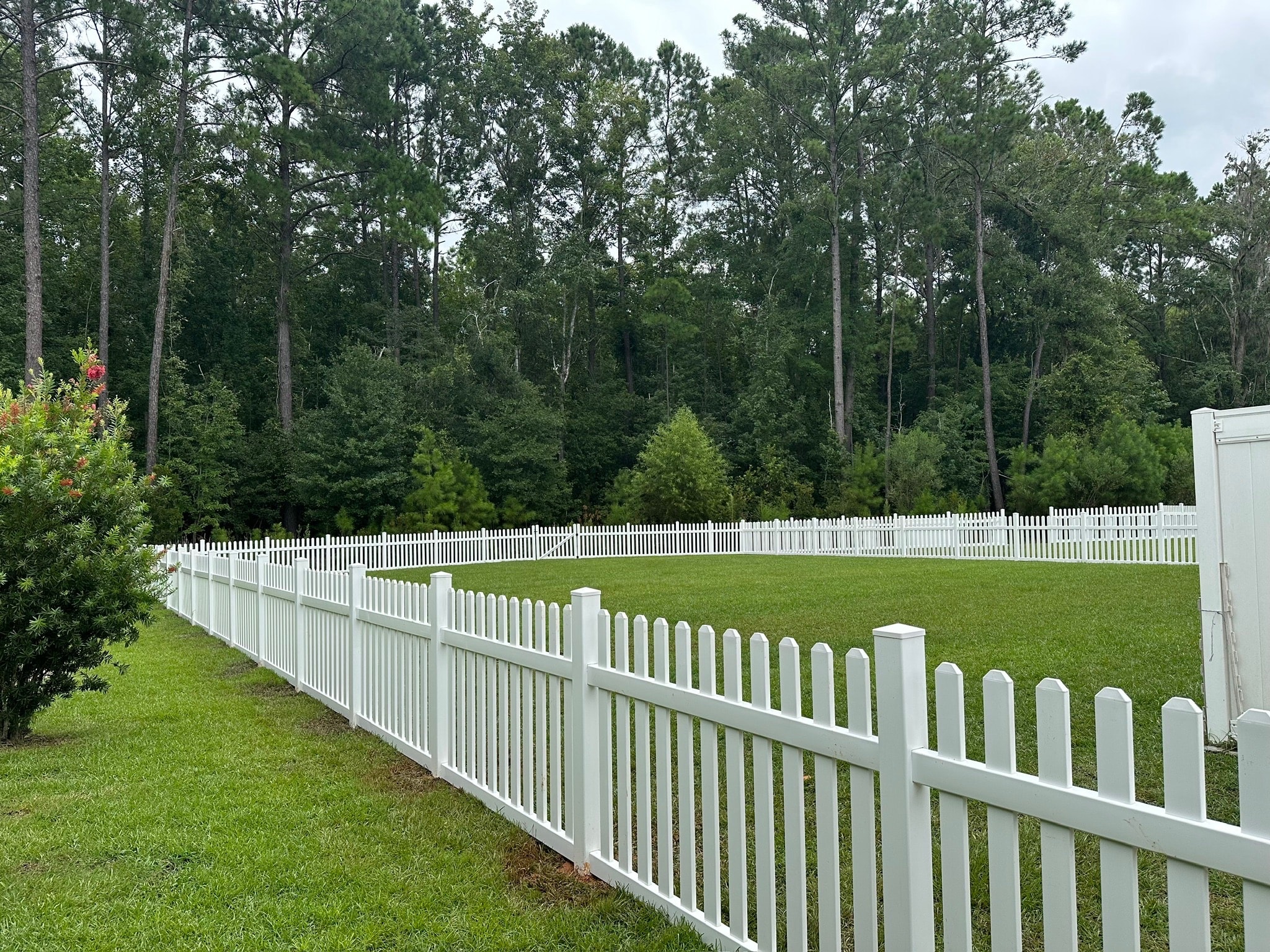 White vinyl picket fence surrounding green lawn